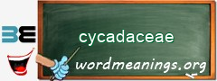 WordMeaning blackboard for cycadaceae